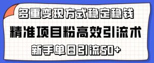 精准项目粉高效引流术,新手单日引流50+,多重变现方式稳定赚钱【揭秘】-则成副业项目资源站