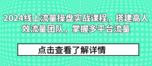 2024线上流量操盘实战课程，搭建高人效流量团队，掌握多平台流量-则成副业项目资源站