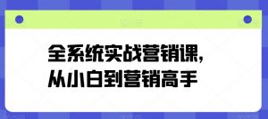 全系统实战营销课,从小白到营销高手-则成副业项目资源站