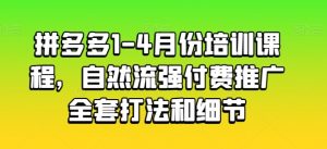 拼多多1-4月份培训课程，自然流强付费推广全套打法和细节-则成副业项目资源站