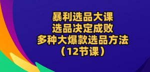 暴利选品大课：选品决定成败，教你多种大爆款选品方法(12节课)-则成副业项目资源站