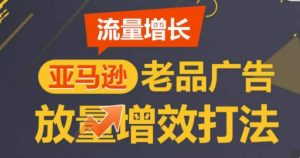 亚马逊流量增长-老品广告放量增效打法，循序渐进，打造更多TOP listing​-则成副业项目资源站