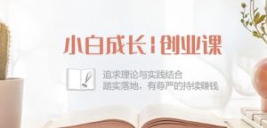 小白成长创业课：追求理论与实践结合，踏实落地，有尊严的持续赚钱-42节-则成副业项目资源站