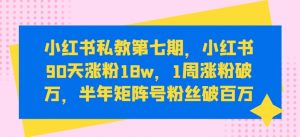 小红书私教第七期，小红书90天涨粉18w，1周涨粉破万，半年矩阵号粉丝破百万-则成副业项目资源站