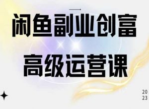 闲鱼电商运营高级课程，一部手机学会闲鱼开店赚钱-则成副业项目资源站
