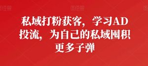 私域打粉获客,学习AD投流,为自己的私域囤积更多子弹-则成副业项目资源站