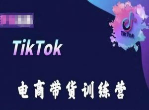 TikTok电商带货训练营，跟随时代潮流，跨境掘金-则成副业项目资源站