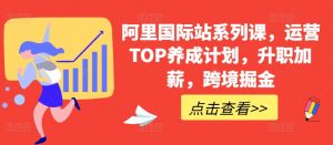 阿里国际站系列课,运营TOP养成计划,升职加薪,跨境掘金-则成副业项目资源站
