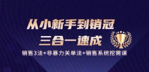 从小新手到销冠 三合一速成:销售3法+非暴力关单法+销售系统挖需课 (27节)-则成副业项目资源站