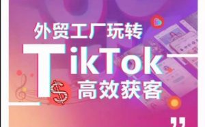 外贸工厂玩转TikTok高效获客，多种引流方式与账号定位技巧，拆解爆款短视频打造成功案例-则成副业项目资源站