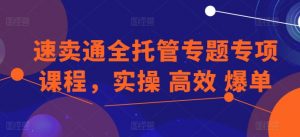 速卖通全托管专题专项课程,实操 高效 爆单-则成副业项目资源站