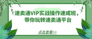 速卖通VIP实战操作速成班,带你玩转速卖通平台-则成副业项目资源站