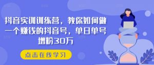 抖音实训训练营,教你如何做一个赚钱的抖音号,单日单号增粉30万-则成副业项目资源站