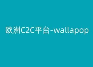 欧洲C2C平台-wallapop-kim跨境电商教程-则成副业项目资源站