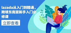lazada从入门到精通，跨境东南亚新手入门必修课-则成副业项目资源站