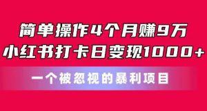 简单操作4个月赚9w，小红书打卡日变现1k，一个被忽视的暴力项目【揭秘】-则成副业项目资源站