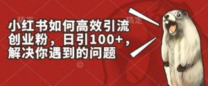 小红书如何高效引流创业粉，日引100+，解决你遇到的问题【揭秘】-则成副业项目资源站