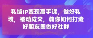 私域IP变现高手课,做好私域,被动成交,教你如何打造好朋友圈做好社群-则成副业项目资源站