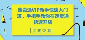 速卖通VIP新手快速入门班,手把手教你在速卖通快速开店-则成副业项目资源站