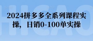 2024拼多多全系列课程实操，日销0-100单实操【必看】-则成副业项目资源站