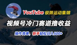 视频号冷门赛道撸收益，YouTube搬运极限运动集锦，暴力起号，操作简单流量高，轻松日入5张【揭秘】-则成副业项目资源站