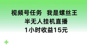 视频号任务，我是螺丝王， 半无人挂机1小时收益15元【揭秘】-则成副业项目资源站