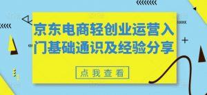 京东电商轻创业运营入门基础通识及经验分享-则成副业项目资源站