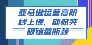 亚马逊运营高阶线上课,助你突破销量瓶颈-则成副业项目资源站
