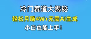 冷门赛道大揭秘,轻松月赚1W+无需AI生成,小白也能上手【揭秘】-则成副业项目资源站