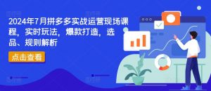 2024年7月拼多多实战运营现场课程,实时玩法,爆款打造,选品、规则解析-则成副业项目资源站