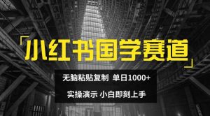 小红书国学赛道，无脑粘贴复制，单日1K，实操演示，小白即刻上手【揭秘】-则成副业项目资源站