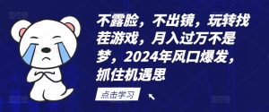不露脸，不出镜，玩转找茬游戏，月入过万不是梦，2024年风口爆发，抓住机遇【揭秘】-则成副业项目资源站