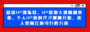 超级IP训练营,IP落地大课震撼来袭,个人IP的时代才刚刚开始,素人变网红的可行性方案-则成副业项目资源站