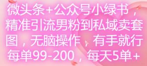 微头条+公众号小绿书,精准引流男粉到私域卖套图,无脑操作,有手就行,每单99-200,每天5单-则成副业项目资源站