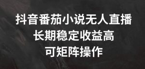 抖音番茄小说无人直播,长期稳定收益高,可矩阵操作【揭秘】-则成副业项目资源站