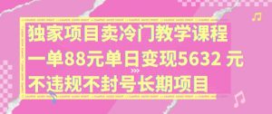 独家项目卖冷门教学课程一单88元单日变现5632元违规不封号长期项目【揭秘】-则成副业项目资源站