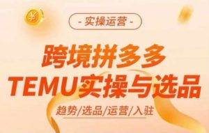 跨境拼多多TEMU实操与选品，多多temu跨境选品运营实操-则成副业项目资源站