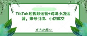 TikTok短视频运营+跨境小店运营，账号引流、小店成交-则成副业项目资源站