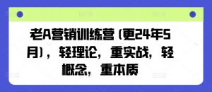 老A营销训练营(更24年8月),轻理论,重实战,轻概念,重本质-则成副业项目资源站