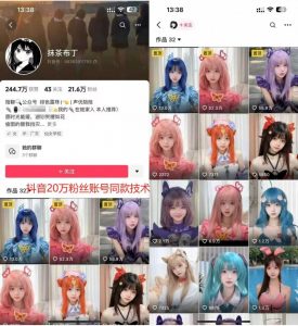 云天二次元美女起号教学，月涨10万粉丝，不判搬运-则成副业项目资源站