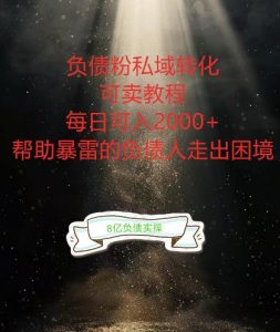 负债粉掘金计划，帮助负债者解决问题，债务规划，债务重组，最好的变现方式【揭秘】-则成副业项目资源站