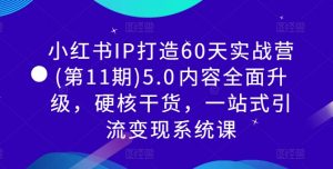 小红书IP打造60天实战营(第11期)5.0内容全面升级,硬核干货,一站式引流变现系统课-则成副业项目资源站