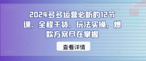 2024多多运营必听的12节课，全程干货，玩法实操，爆款方案尽在掌握-则成副业项目资源站