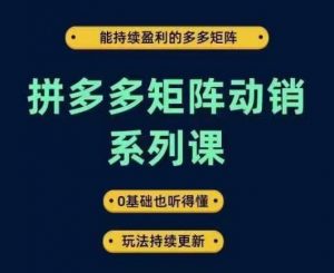 拼多多矩阵动销系列课，能持续盈利的多多矩阵，0基础也听得懂，玩法持续更新-则成副业项目资源站
