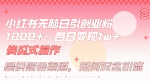 小红书无脑每日引流创业粉500+，小白每天只花半小时，躺赚长尾收益【揭秘】-则成副业项目资源站
