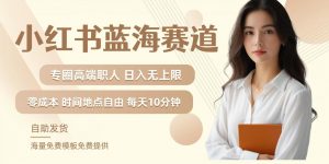 小红书蓝海赛道，圈中高端职场人，月入无上限，可矩阵，内含私域实操教程!-则成副业项目资源站