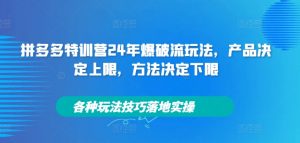拼多多特训营24年爆破流玩法，产品决定上限，方法决定下限，各种玩法技巧落地实操-则成副业项目资源站
