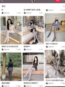 AI打造网红账号，一周收入超5位数，还能矩阵操做-则成副业项目资源站