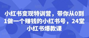 小红书变现特训营，带你从0到1做一个赚钱的小红书号，24堂小红书爆款课-则成副业项目资源站