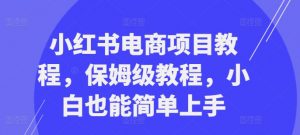 小红书电商项目教程,保姆级教程,小白也能简单上手-则成副业项目资源站